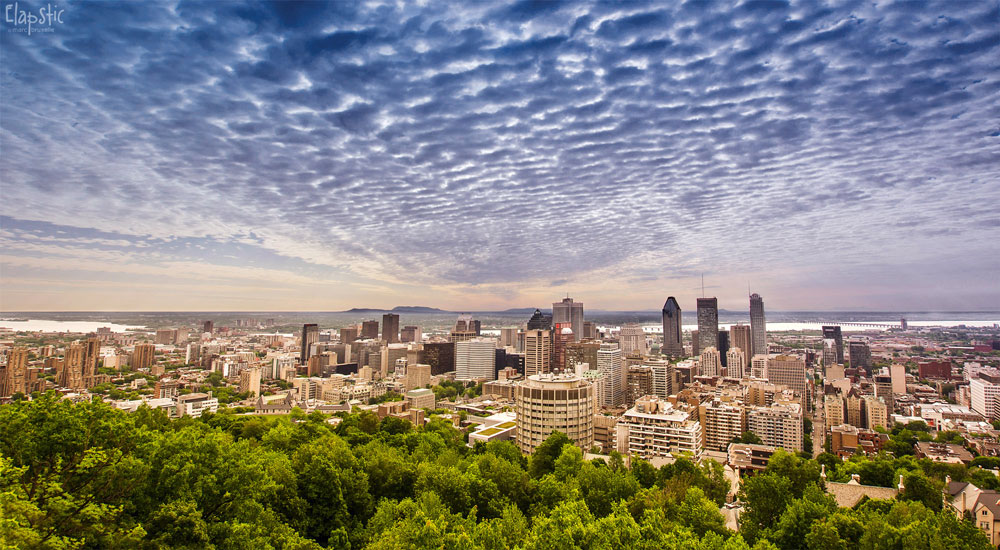 Mont-Royal - Montréal - hiking - plein air - vue - views