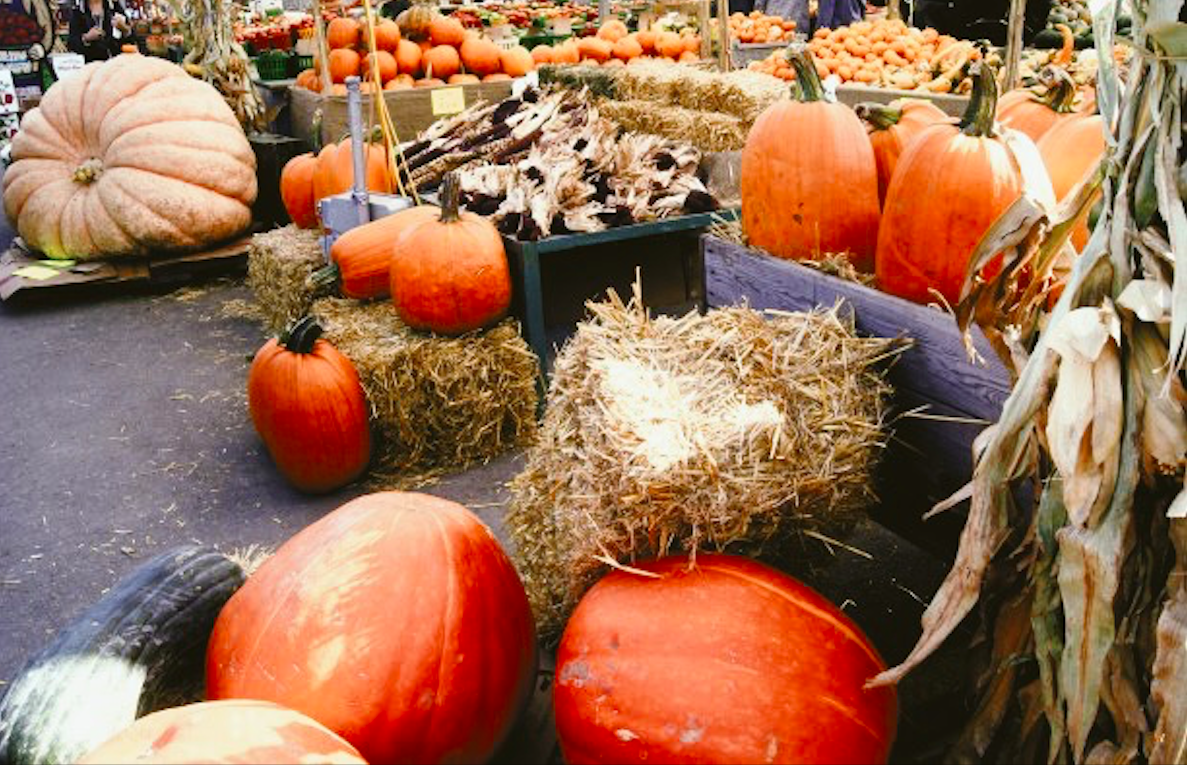 Marché Jean-Talon -Automne