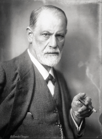 Freud -counseling - psychology -therapy 