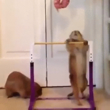 Goal-Motivation