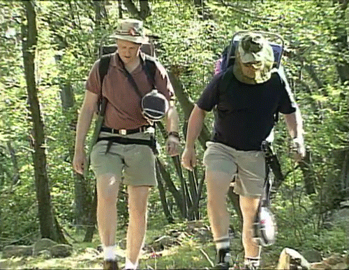 Hiking - Sylvotherapy
