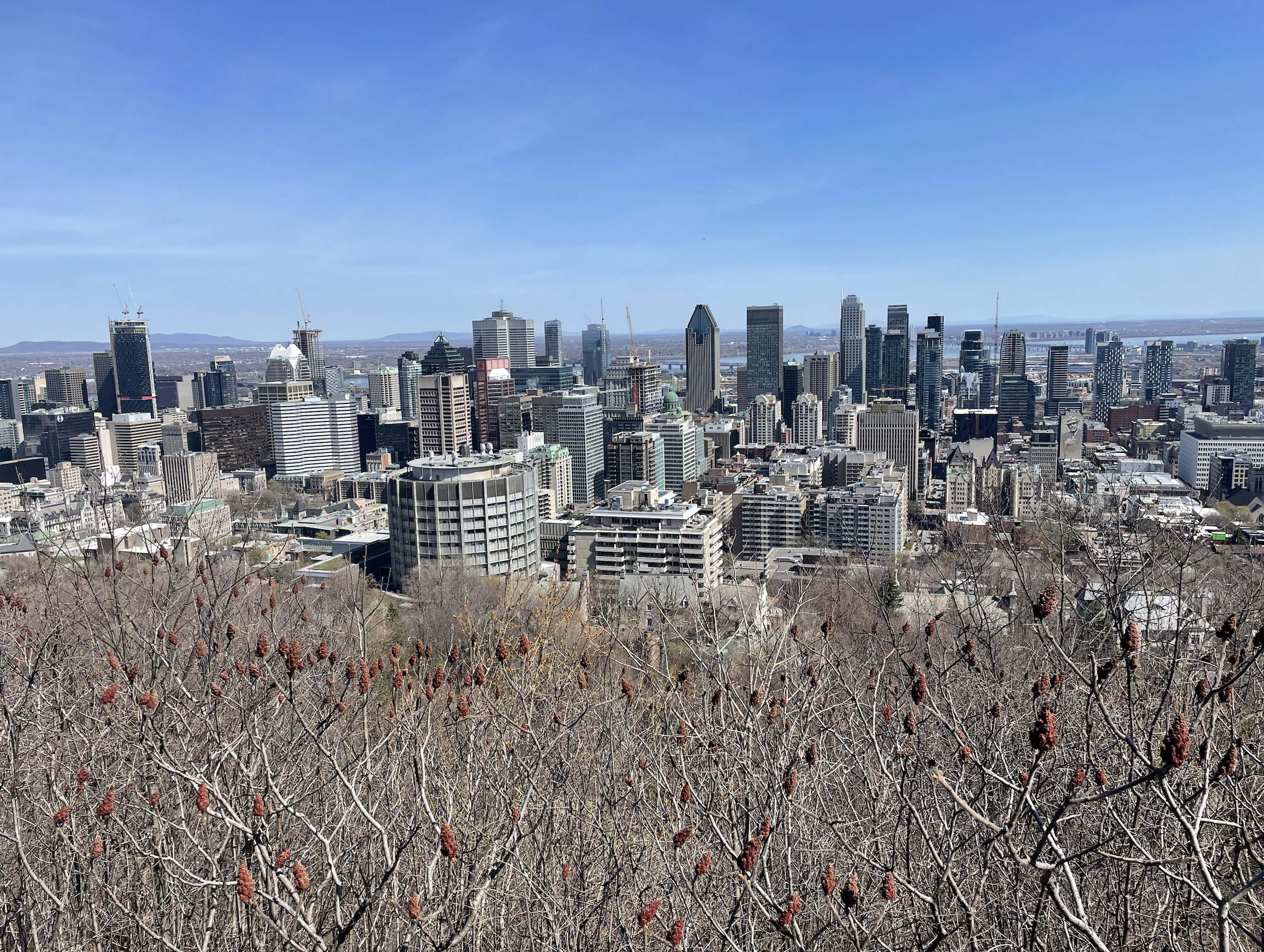 Montréal - Mont-Royal - Accessibilité