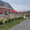 Vignoble Souffle de vie - vin - oenologie - montréal - vigne - vigneron